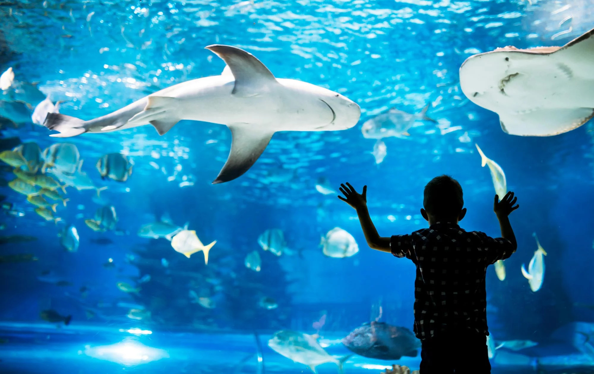 media.Slide-Parchi-02-Hotel-Maddalena-Riccione